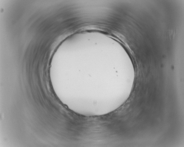 X0000070340289200607072020