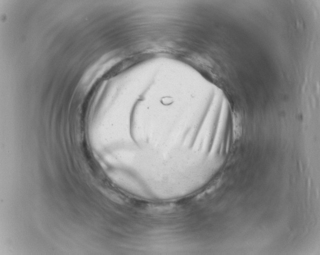 X0000070340291200607072020