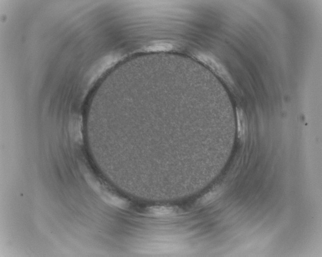 X0000070340300200607072020