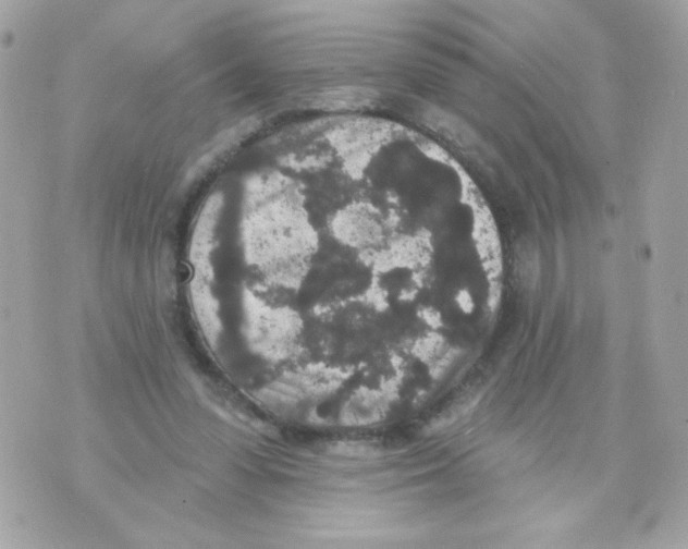 X0000070340303200607072020