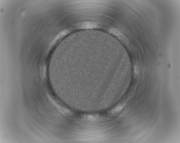 X0000070340304200607072020