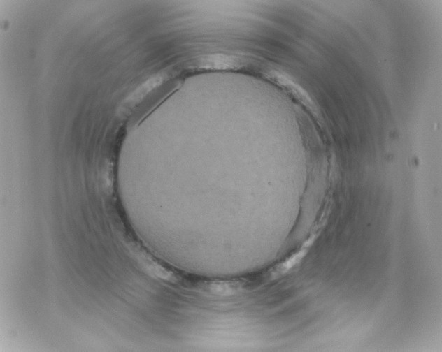 X0000070340305200607072020