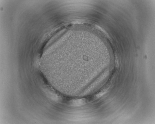 X0000070340307200607072019