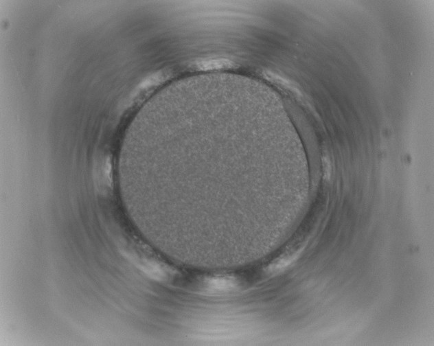 X0000070340308200607072019