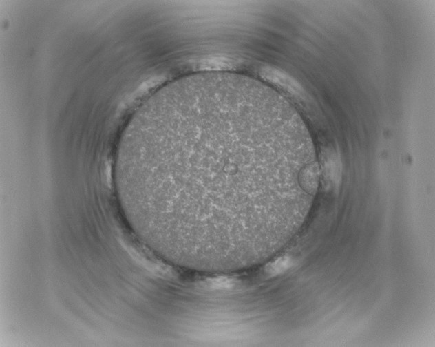 X0000070340310200607072019