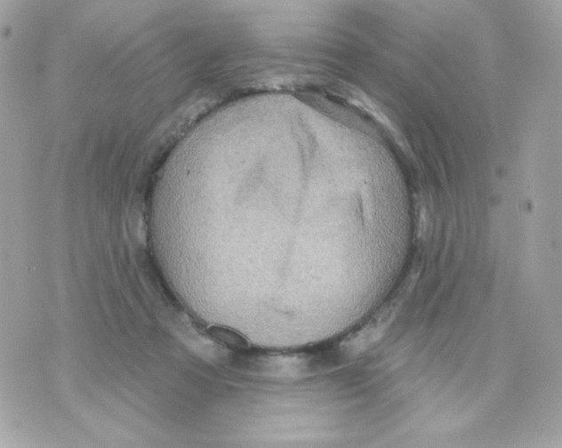 X0000070340313200607072019