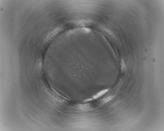 X0000070340314200607072019