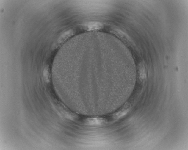 X0000070340316200607072019