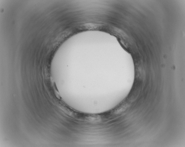 X0000070340317200607072019