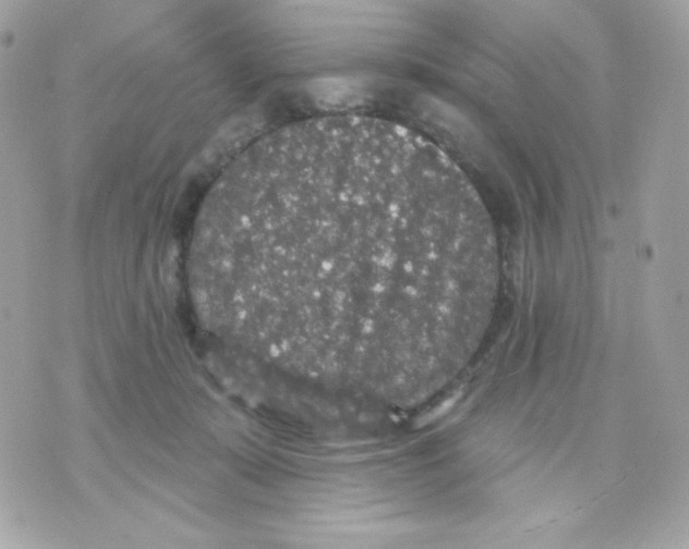 X0000070340319200607072019