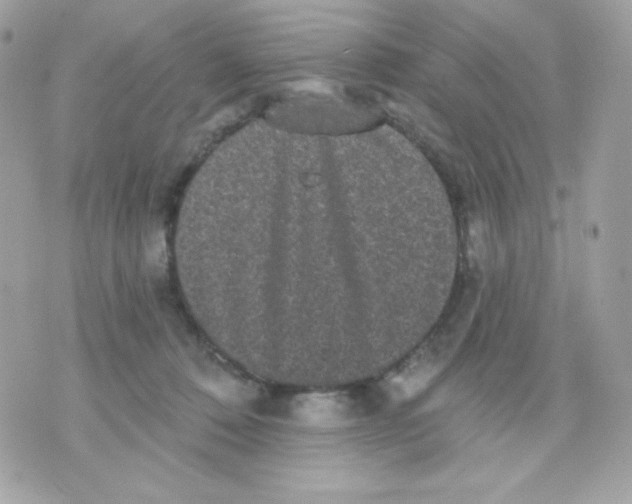 X0000070340320200607072019