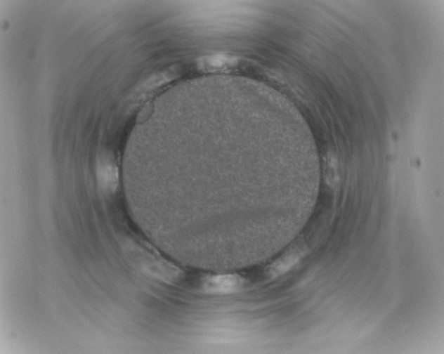 X0000070340324200607072019