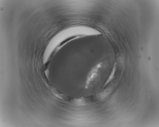 X0000070340325200607072019