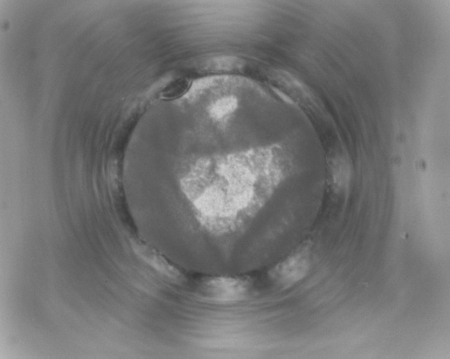 X0000070340326200607072019