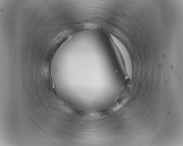 X0000070340329200607072019