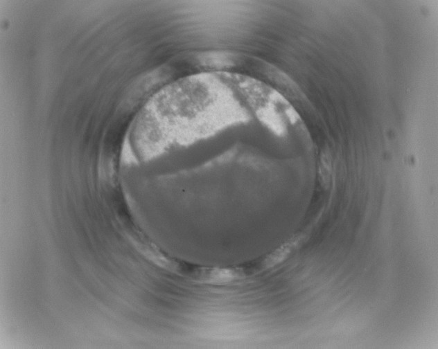 X0000070340330200607072019