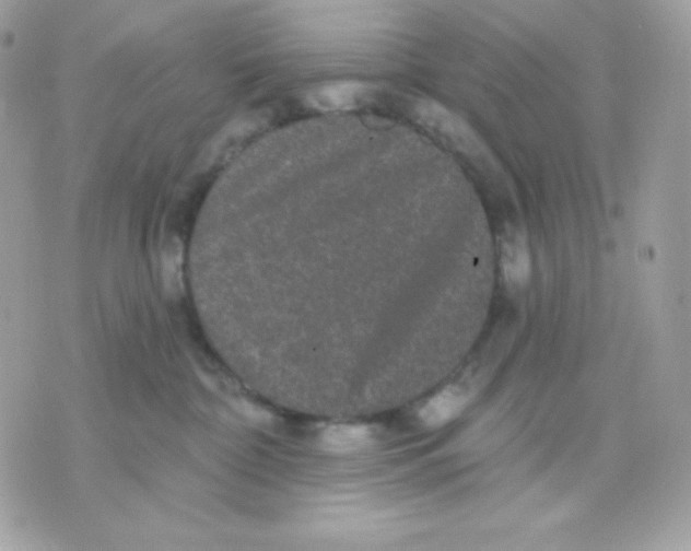 X0000070340332200607072019