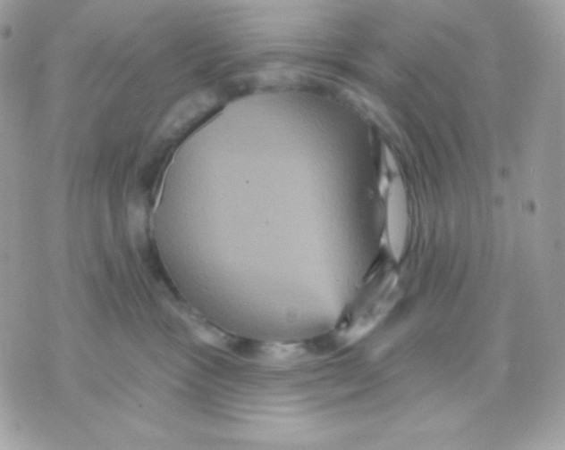 X0000070340333200607072019