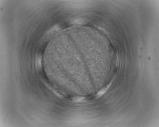 X0000070340334200607072019