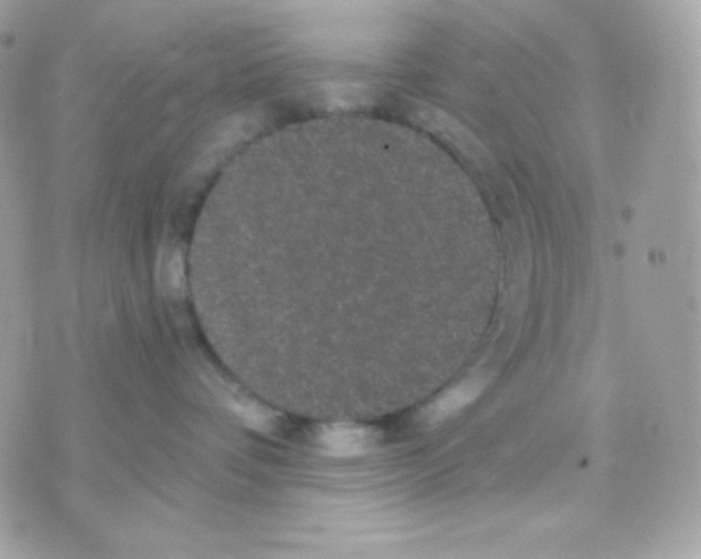 X0000070340336200607072019