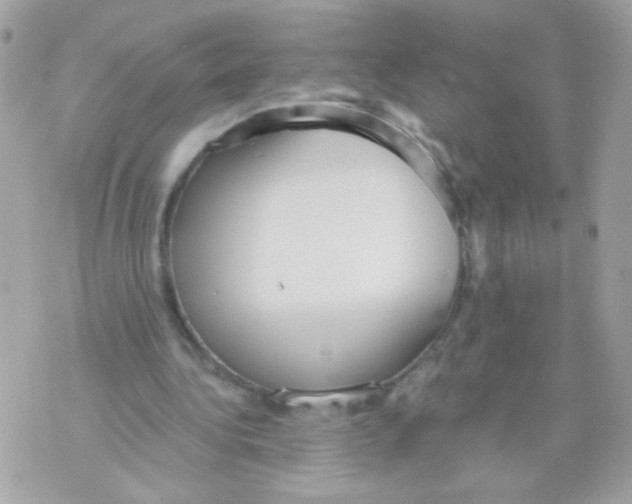 X0000070340340200607072018