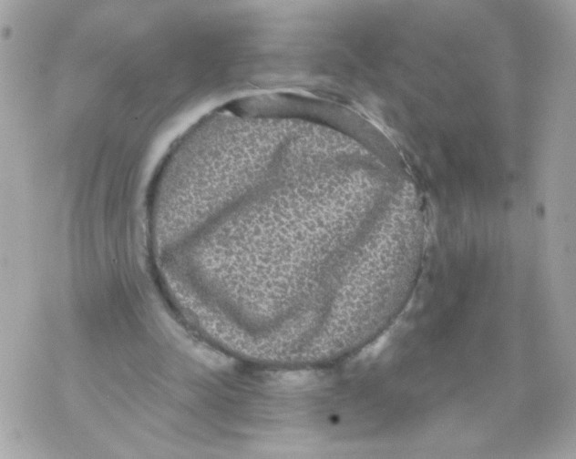 X0000070340342200607072018