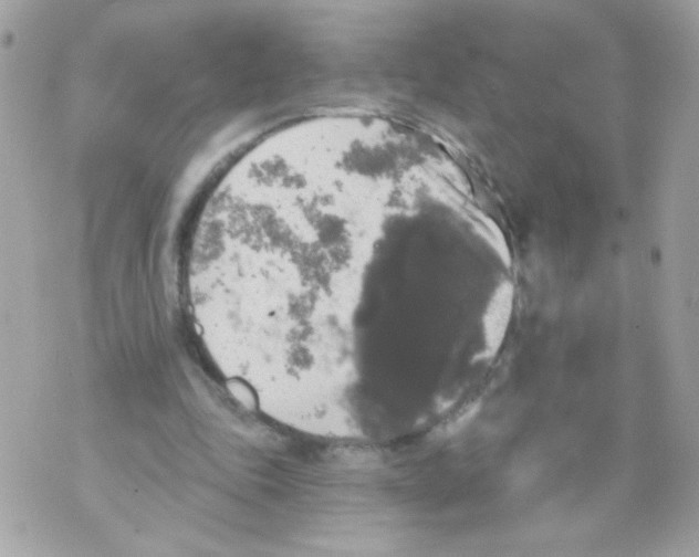 X0000070340343200607072018