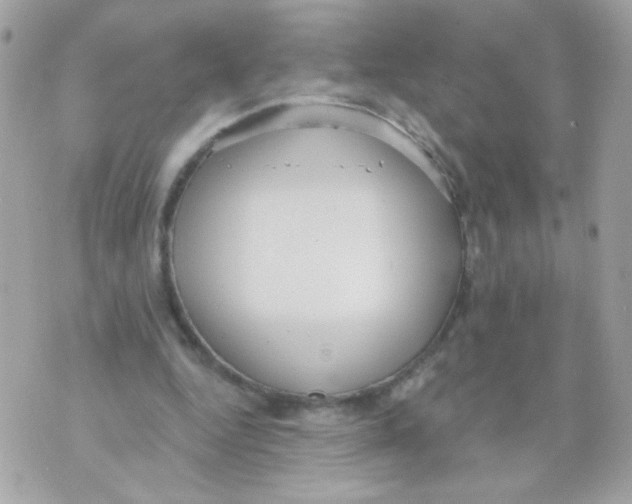 X0000070340344200607072018