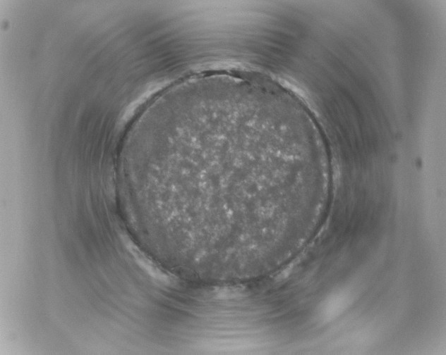 X0000070340345200607072018