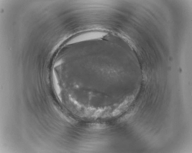 X0000070340347200607072018