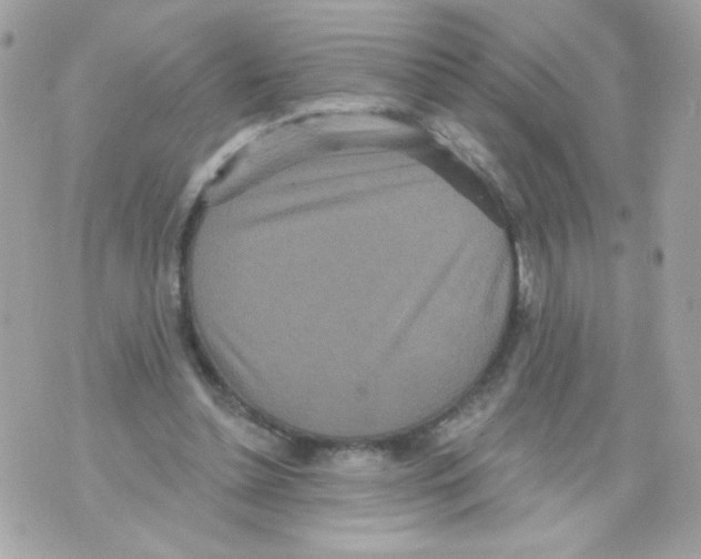 X0000070340348200607072018