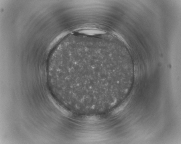 X0000070340349200607072018