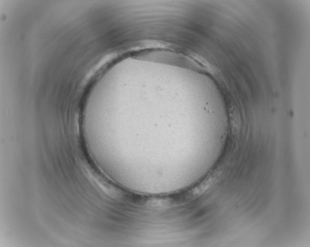 X0000070340350200607072018