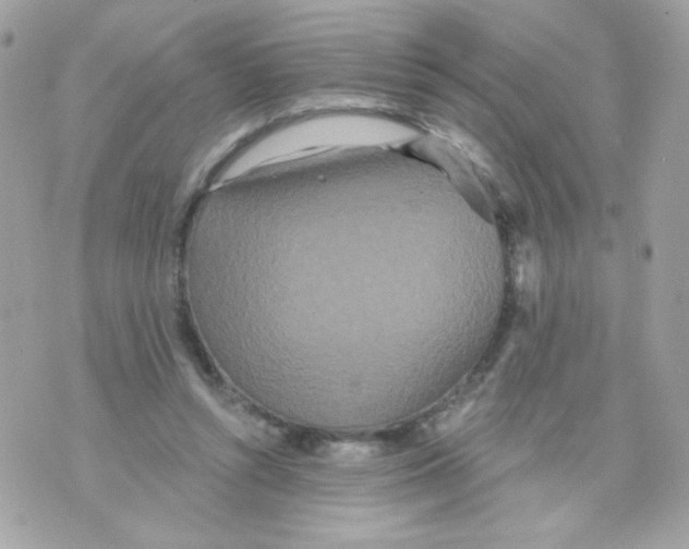 X0000070340352200607072018