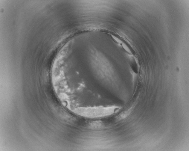 X0000070340355200607072019