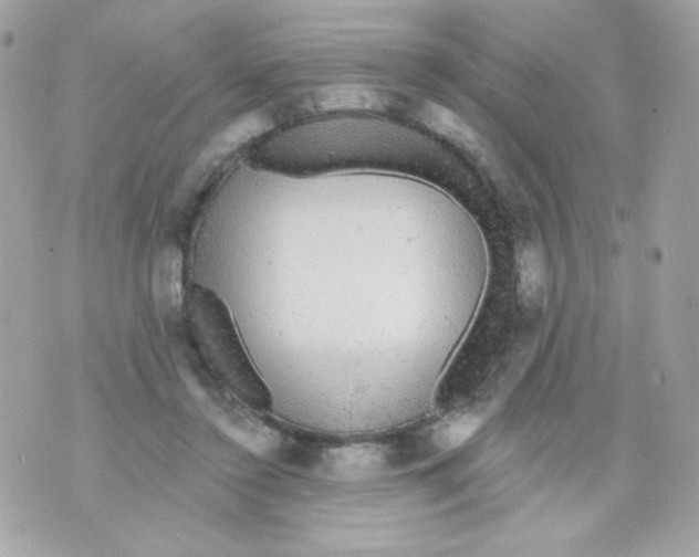 X0000070340356200607072019