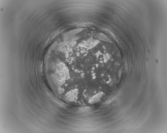 X0000070340357200607072019