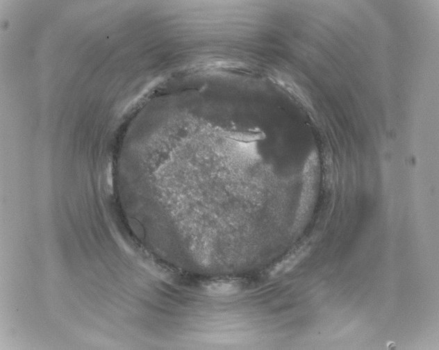 X0000070340358200607072019