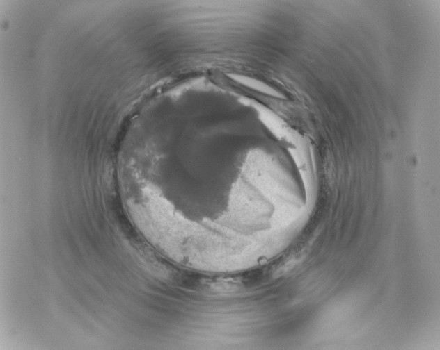 X0000070340359200607072019