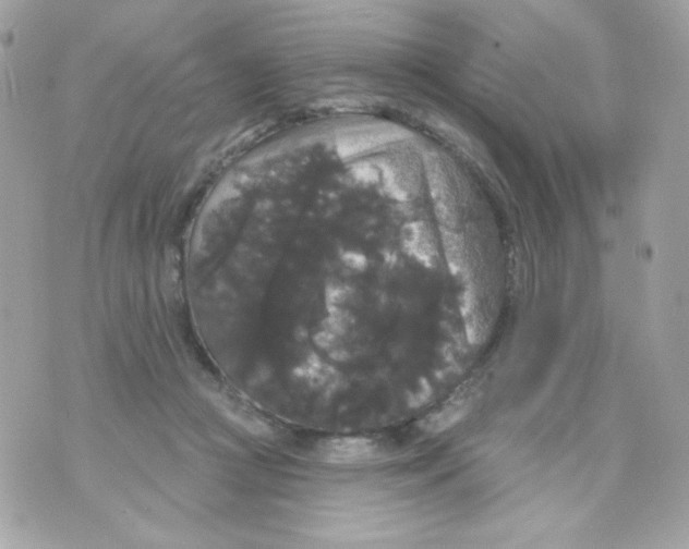 X0000070340361200607072019