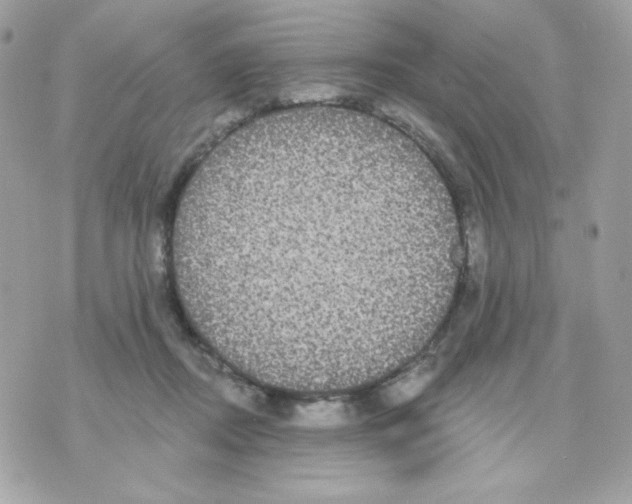 X0000070340362200607072019