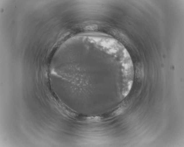 X0000070340363200607072019