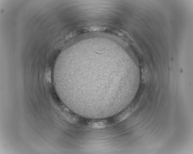 X0000070340368200607072019