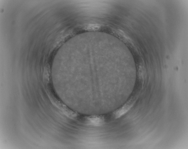 X0000070340370200607072019