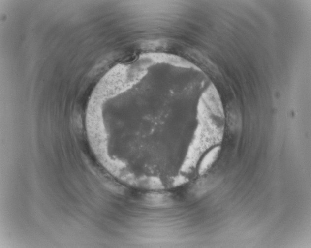 X0000070340375200607072019