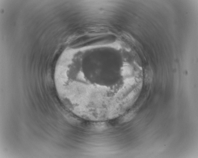 X0000070340377200607072019