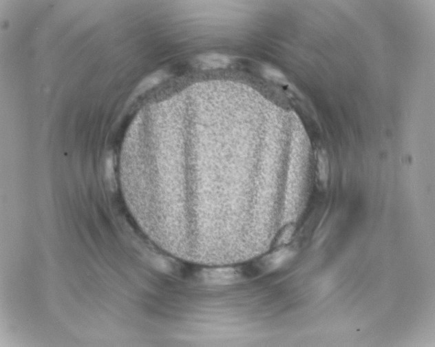 X0000070340378200607072019