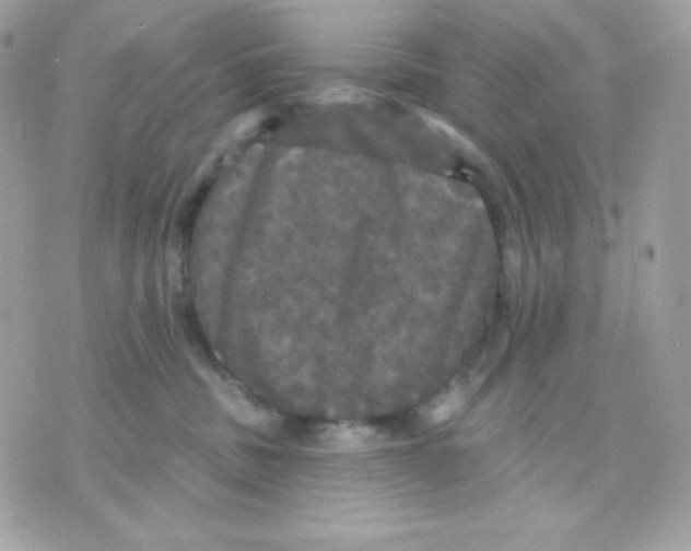 X0000070340379200607072019