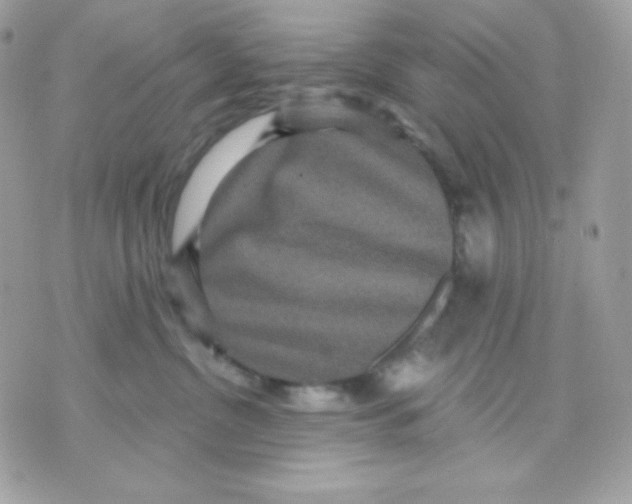 X0000070340380200607072019