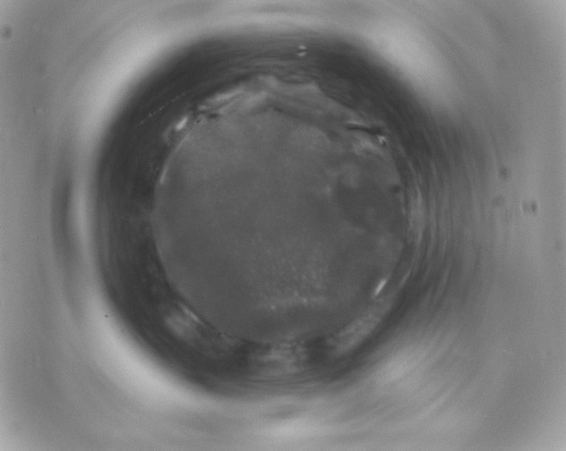 X0000070340383200607072019